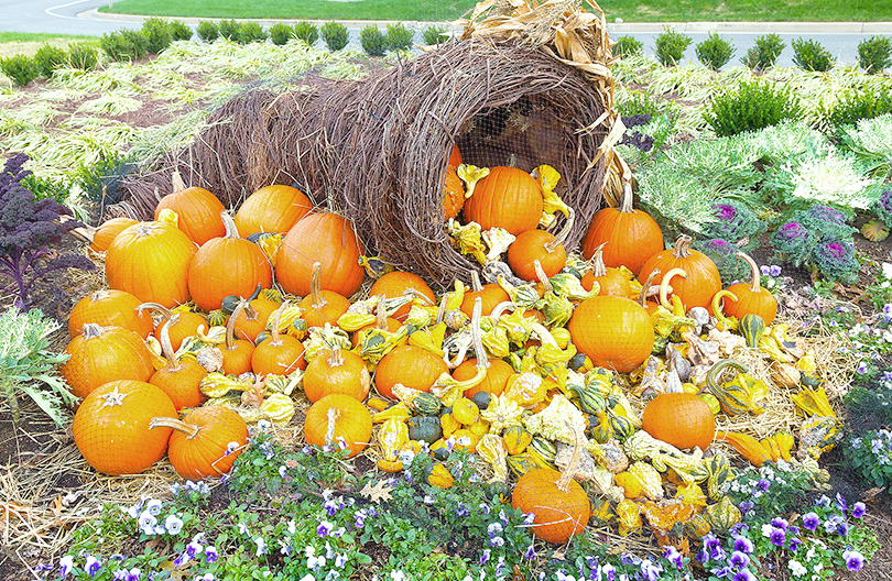 ハロウィン