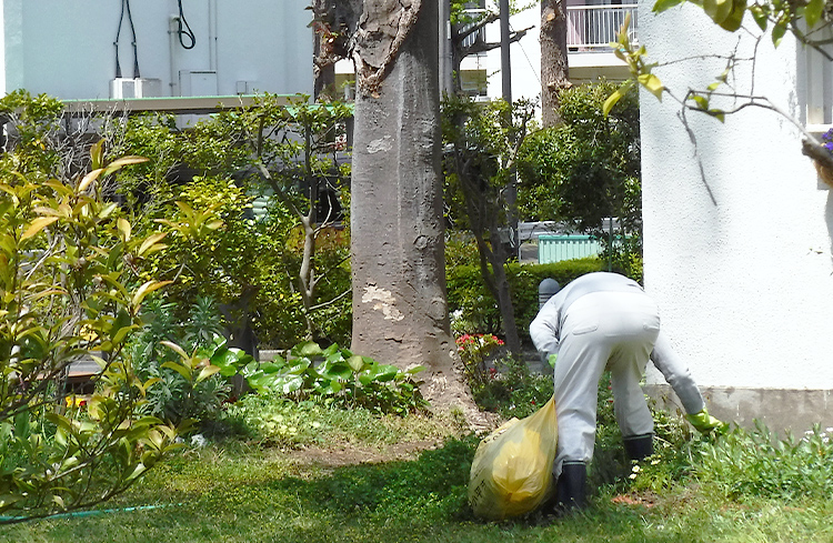 除草